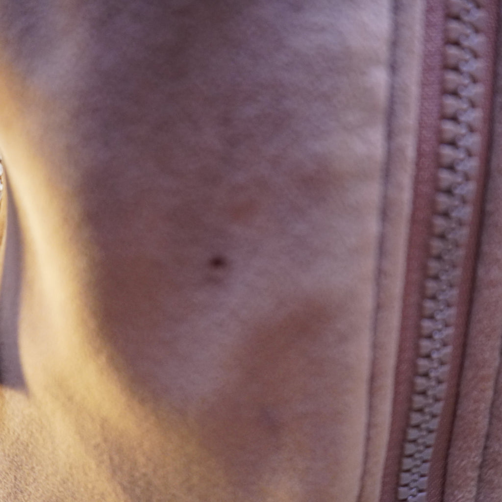 Chaqueta Deportiva Naketano para Mujer Usada - Marrón, S